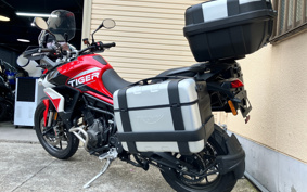 TRIUMPH TIGER 900GTARAGON 2023 TRE64D