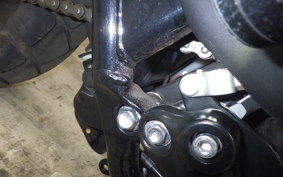 TRIUMPH SCRAMBLER 900 2025