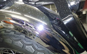KAWASAKI W800 2017 EJ800A