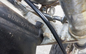 YAMAHA VIRAGO 250 TRIKE 3DM