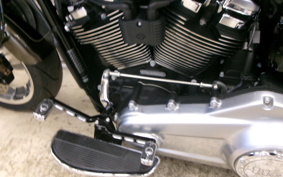 HARLEY FLFBS 2020 YGK