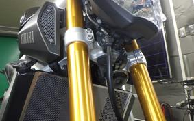 YAMAHA MT-09 2014 RN34J