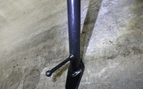 TRIUMPH SPEED 400 2025