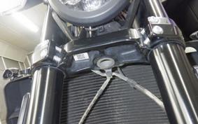 INDIAN FTR1200 RALLY 2022