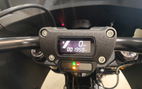 HARLEY FXLRST 2024 YXZ
