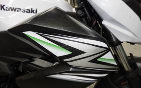 KAWASAKI Z250 2022 ER250C