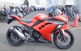 KAWASAKI NINJA 250 EX250L