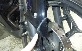 KAWASAKI NINJA 250 EX250L