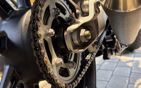 TRIUMPH SPEED TWIN 900 2026 DP0G21