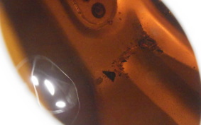 KAWASAKI ZZ-R250 2006 EX250H