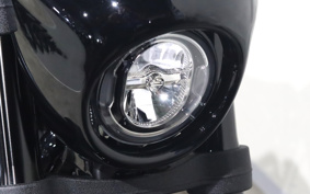 HARLEY FXLRS 2020 YWK