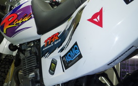 YAMAHA TT250R RAID 2013 4GY