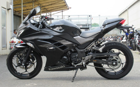 KAWASAKI NINJA 250 EX250L
