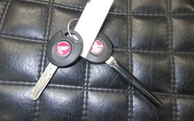 HONDA CT125 HUNTER CUB JA55