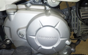 HONDA CROSS CUB 50 2020 AA06