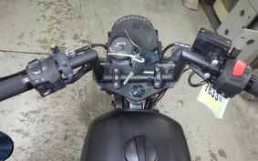 OTHER MUTT250 2024
