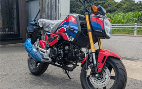 HONDA GROM JC92