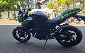 KAWASAKI Z250 EX250Y
