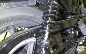 HARLEY XL1200NS 2019