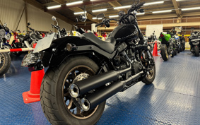 HARLEY FXLRS 2024 YW5
