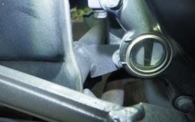 KAWASAKI NINJA 250 ABS EX250L
