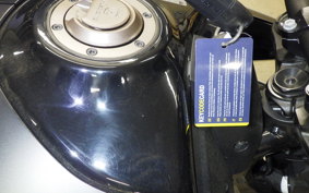 HUSQVARNA スバルトピレン801 2024