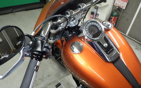 HARLEY FLSB 1750 2019