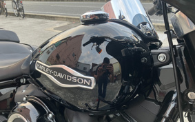 HARLEY FLSB 2019 YMJ