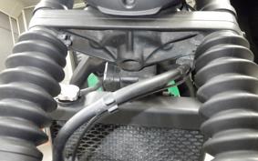 HONDA REBEL 250 S MC49