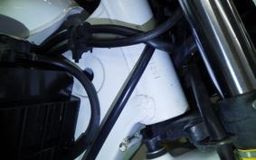 HONDA XL DEGREE MD26