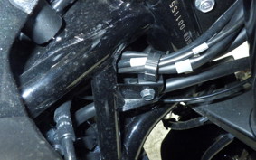 KAWASAKI ZH2 2024 ZRT00R