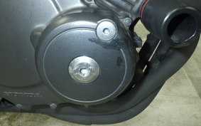 HONDA HORNET 250 2013 MC31