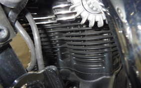 KAWASAKI W800 CAFE 2021