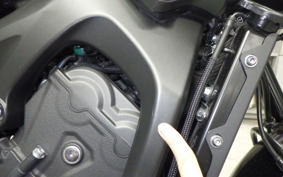 YAMAHA XSR900 2019 RN56J
