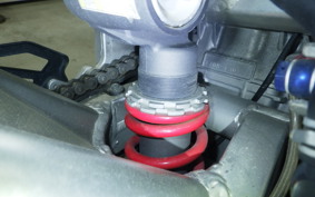 SUZUKI GSX-R1000 2002