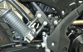 KAWASAKI KLX230 SM 2020 LX230A