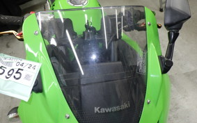 KAWASAKI NINJA 250R 2019 EX250K