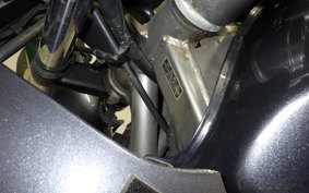 HONDA XELVIS 2025 MC25