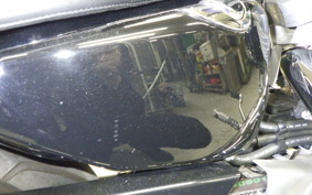 HARLEY XL883LI 2013