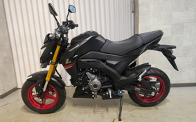 KAWASAKI Z125 PRO BR125H