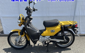 OTHER CC110