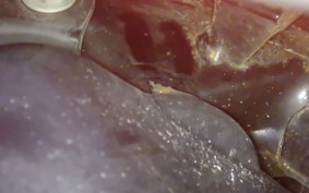 HONDA GYRO CANOPY 2017 TA03