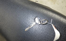 KAWASAKI SUPER SHERPA 1999 KL250G