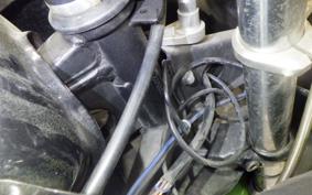 KAWASAKI NINJA 250R 2015 EX250K