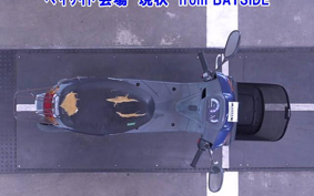 OTHER  JOG  POCHE -2