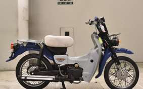 SUZUKI BIRDIE 50 BA42A
