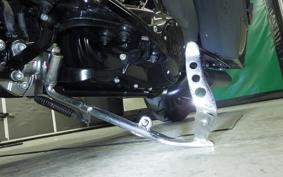 HARLEY FLHXST1920 2022