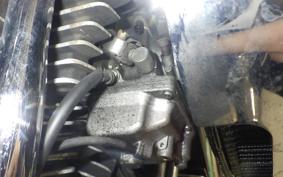 OTHER +HD. XL1200R 2006