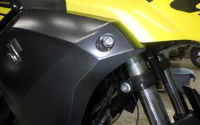 SUZUKI V-STROM 250 1999