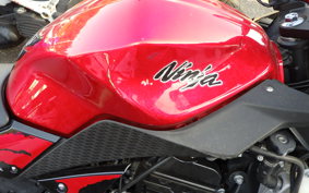 KAWASAKI NINJA 250 ABS EX250L